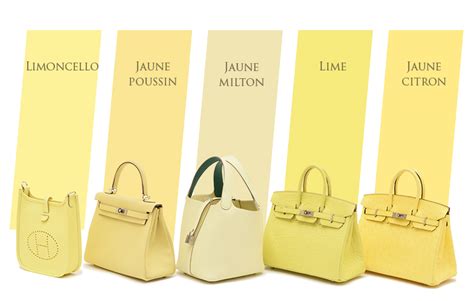 jaune milton hermes